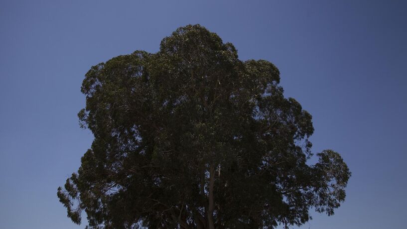 O que fazer se tiver um terreno por registar? 