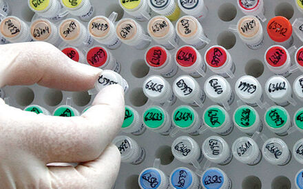 Oito cientistas nacionais recebem 16 milhões de euros no âmbito do Horizonte 2020