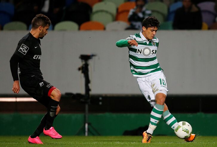 Pedro Ferreira / Record