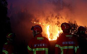 Incêndio em Góis provoca 18 feridos ligeiros, a maioria civis