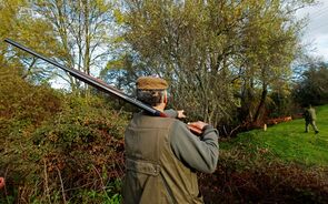 Torre Bela apresenta queixa-crime contra promotores de montaria que matou 540 animais