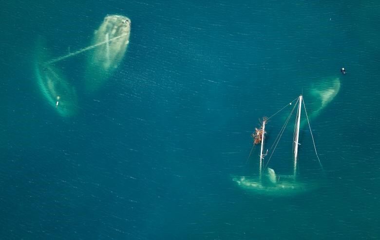 REUTERS/Jonathan Drake