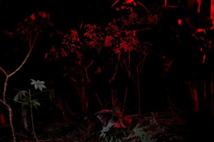 REUTERS/Ueslei Marcelino
