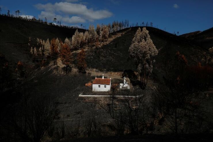 REUTERS/Rafael Marchante