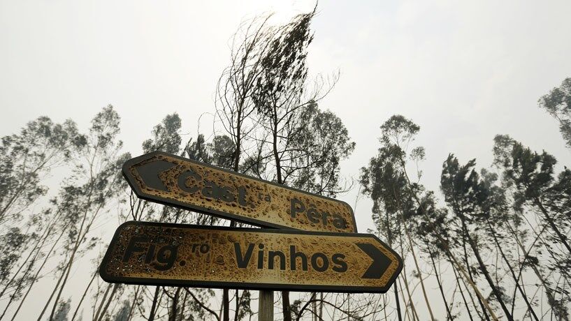 Um país queimado pelo fogo é um país de luto