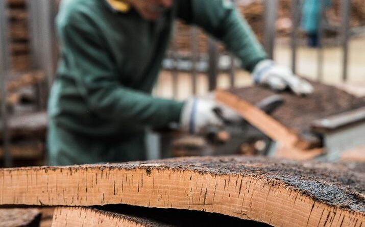 Corticeira Amorim – Dividend Yield de 1,8%