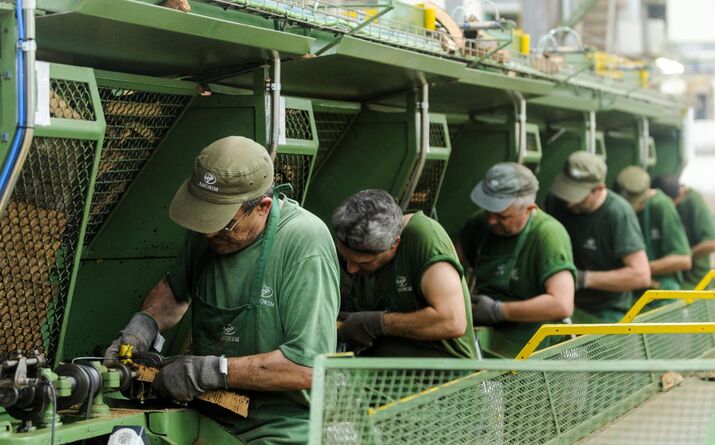 Norges reduz investimento na Corticeira Amorim