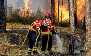 Incêndios: Governo alerta para eventuais ocorrências difíceis de gerir 