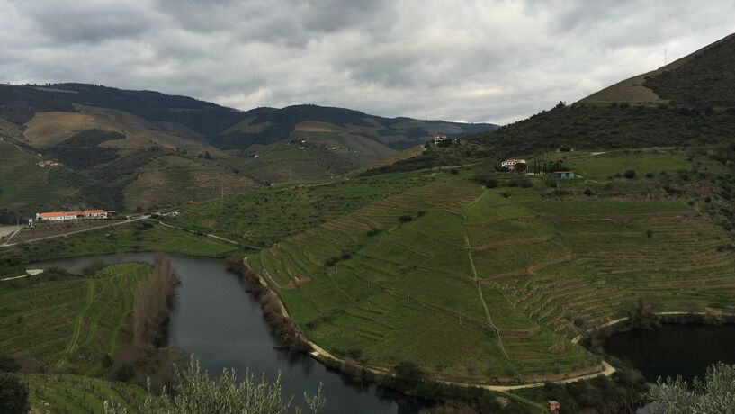 Alto Douro Vinhateiro
