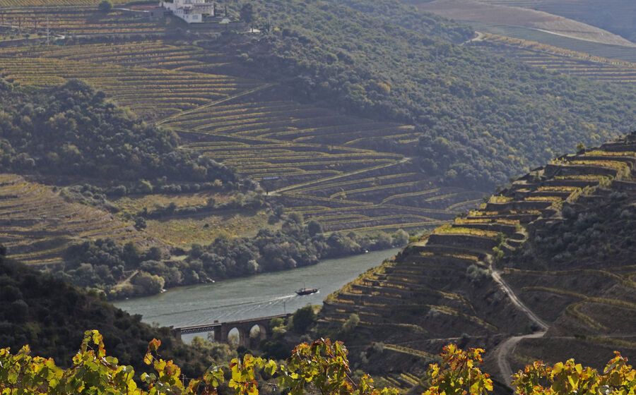 Quinta do Síbio