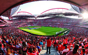 Desporto profissional com público a partir de 28 de junho. Lotação limitada a um terço