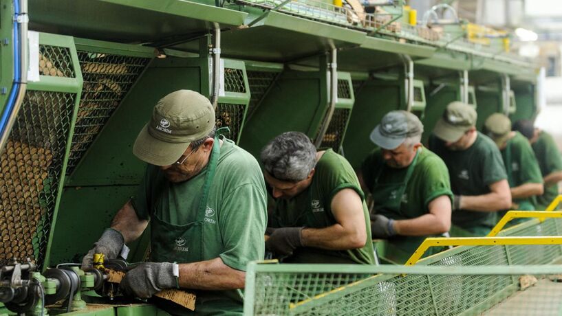 Corticeira Amorim: Empresa antecipa subida do EBITDA a partir de 2020