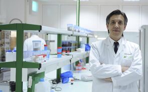 Há empresas a atingir picos com a pandemia 