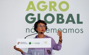 Governo quer instalar 80% dos novos agricultores no interior 