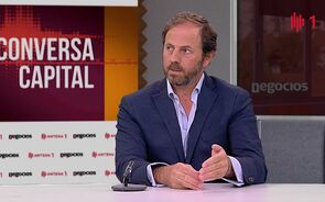 ViniPortugal conta apresentar plano de sustentabilidade para o setor dos vinhos em Portugal