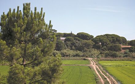 Governo avança com cadastro rústico em 153 municípios