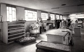 Vieira de Castro, a família das bolachas 