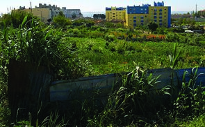 Orçamento permite cobrar mais IMI a terrenos para construção