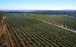 Altri compromete-se com objetivos sustentáveis das Nações Unidas